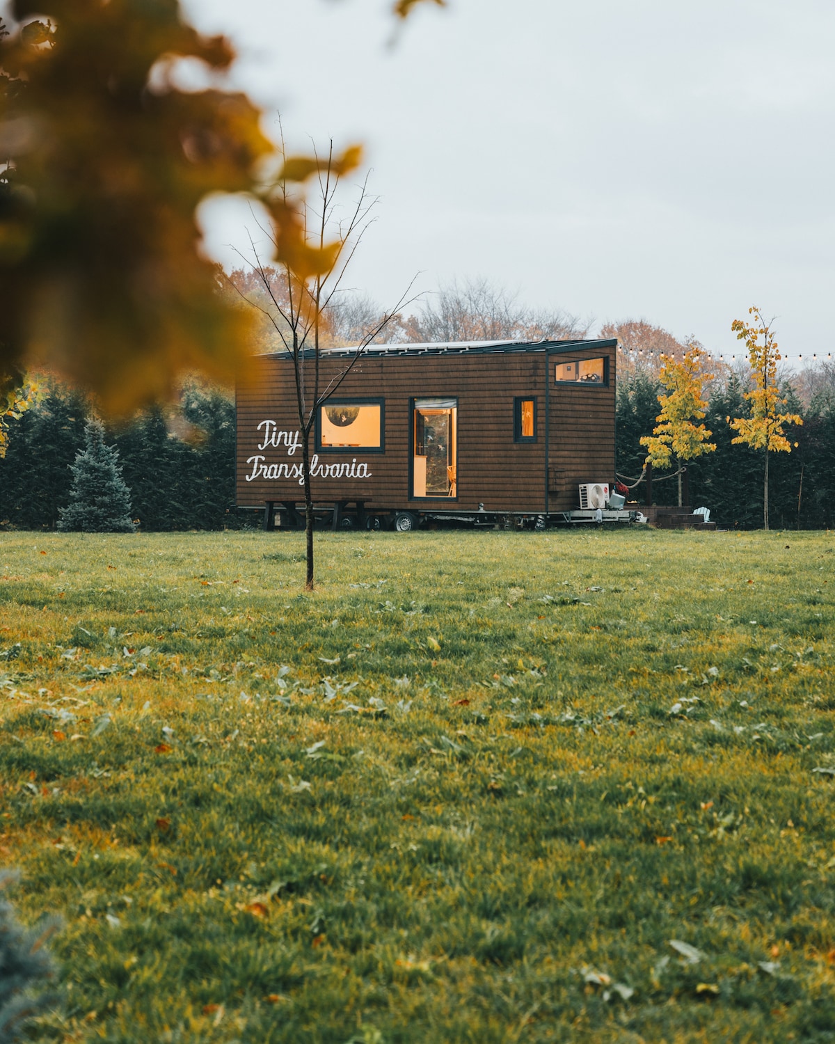 A charming tiny house sits on wheels amidst a spacious grassy field, surrounded by trees and shrubs. The wooden exterior features several windows and the name 'Tiny Transylvania' displayed prominently. A tranquil atmosphere is accentuated by the autumn foliage in the foreground.