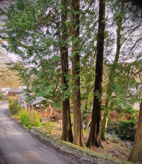 Woodland, waterside cabin in Snowdonia