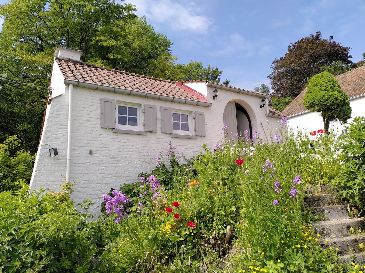 A charming studio is nestled among lush greenery, featuring a sloped roof and large arched entrance. Colorful flowers bloom in the foreground, enhancing the garden's natural beauty. Shuttered windows add character to the whitewashed exterior of the building.