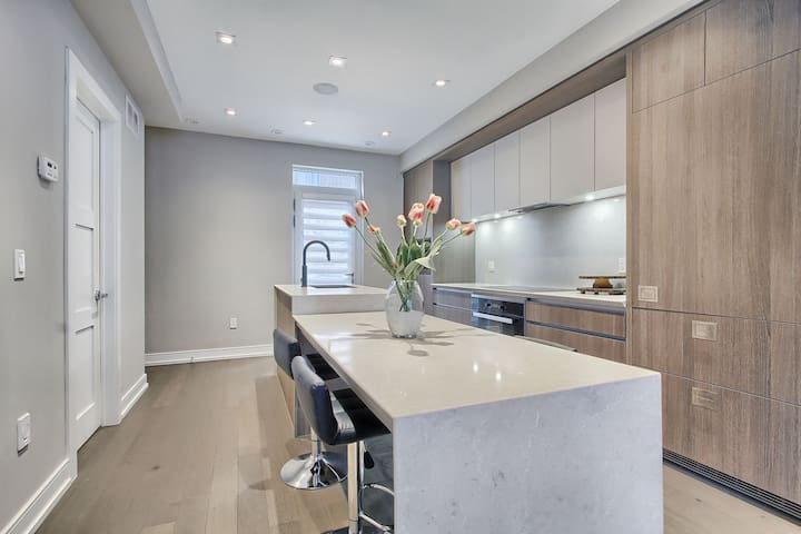 4 Bedroom Downtown Home Toronto gallery image 3