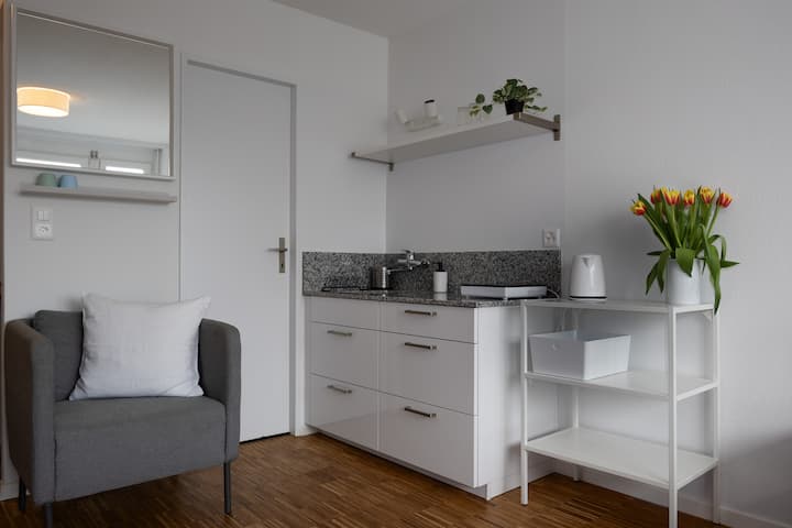 Zürich City-kleines Studio-albisriederplatz 4211 - Zurique