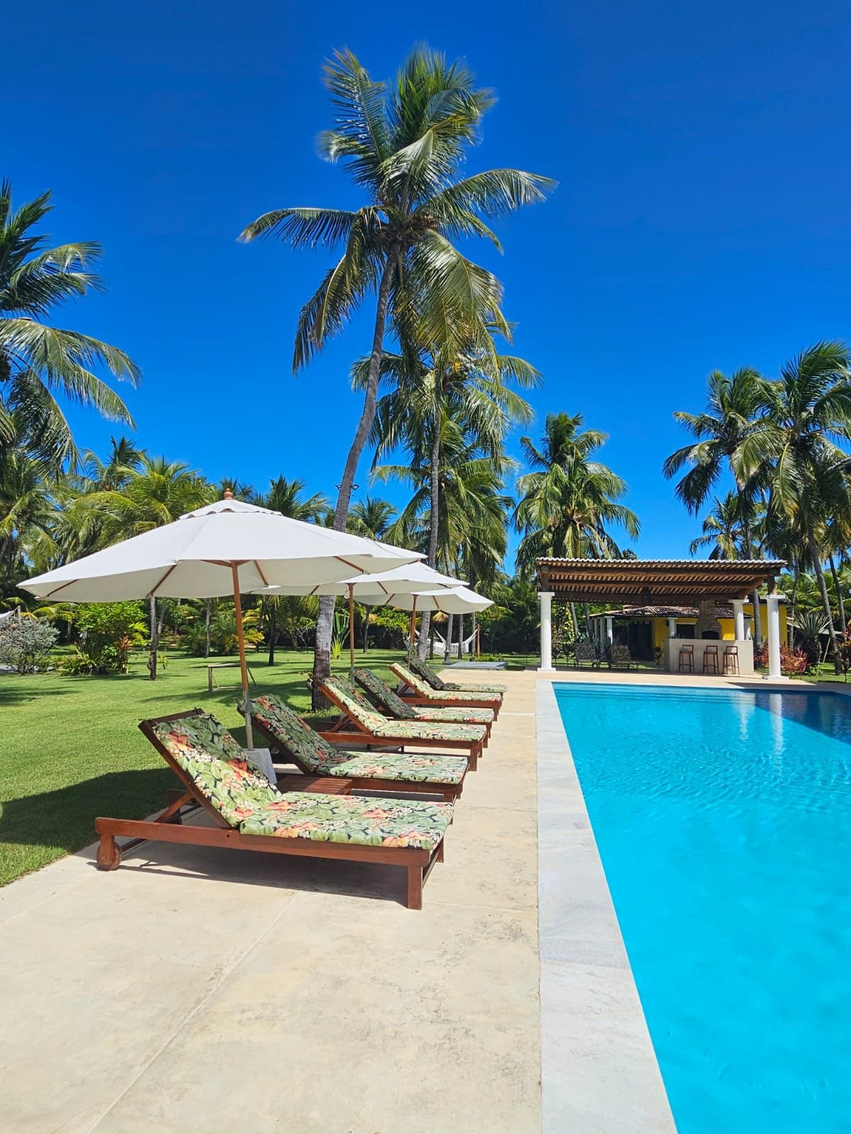 A serene outdoor area features a sparkling blue pool lined with five lounge chairs adorned with colorful floral cushions. White umbrellas provide shade, while palm trees sway gently in the background, creating a relaxing retreat within a lush garden setting.