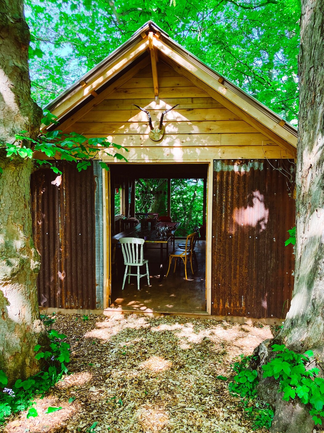 The entrance to a rustic cabin is framed by trees, showcasing a wooden facade with corrugated metal accents. Inside, a dining area with wooden tables and chairs is visible, surrounded by lush greenery, creating a secluded and natural setting.