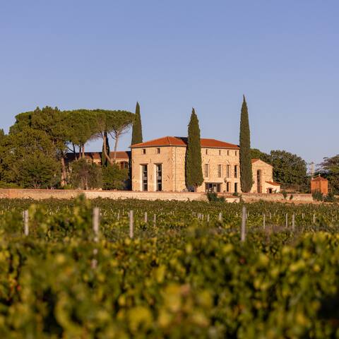 Chateau Montana