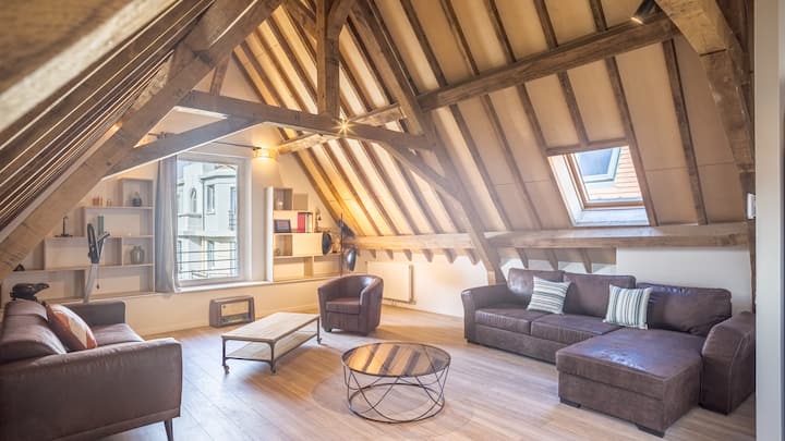 'Lion's Crown' Loft - Hypercentre - 6 Pers. - Troyes