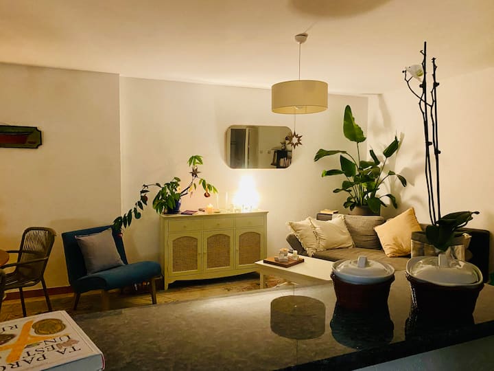 Bright Flat In Divonne By Geneva - Divonne-les-Bains