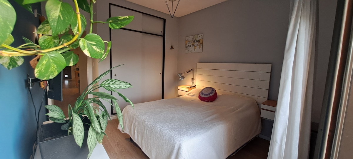 A cozy sleeping area is presented with a spacious bed dressed in a light duvet. A bedside table with a lamp is situated next to the bed. A decorative plant adds a touch of greenery, while the muted gray walls enhance the room's calm ambiance.