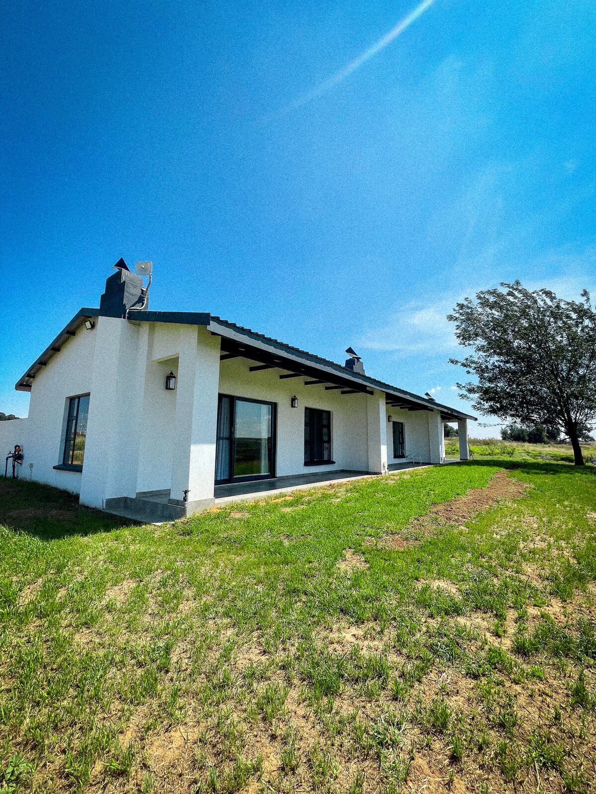A modern house is situated in a grassy landscape under a clear blue sky. Large windows create a bright exterior, while the sloped roof and side chimneys add character to the simple design. Nearby, a tree provides a hint of shade.