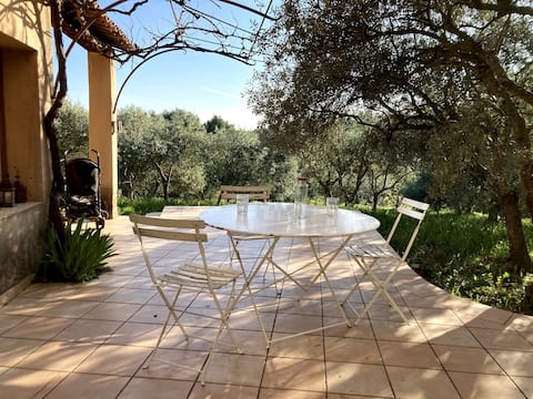 My House of Olive Trees