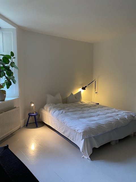 Top performing Airbnb: Spacious flat in great location on Nørrebro in Nørrebro