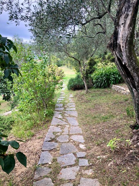 A stone pathway meanders through a lush garden, bordered by olive trees and various shrubs. Greenery fills the surrounding area, inviting exploration and connection to nature. The pathway leads toward an open space, enhanced by a tranquil landscape.