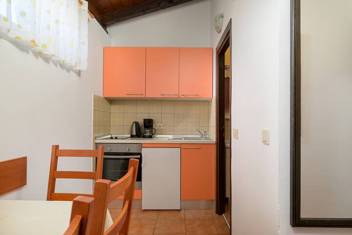 Apartment Pinjola - Novigrad