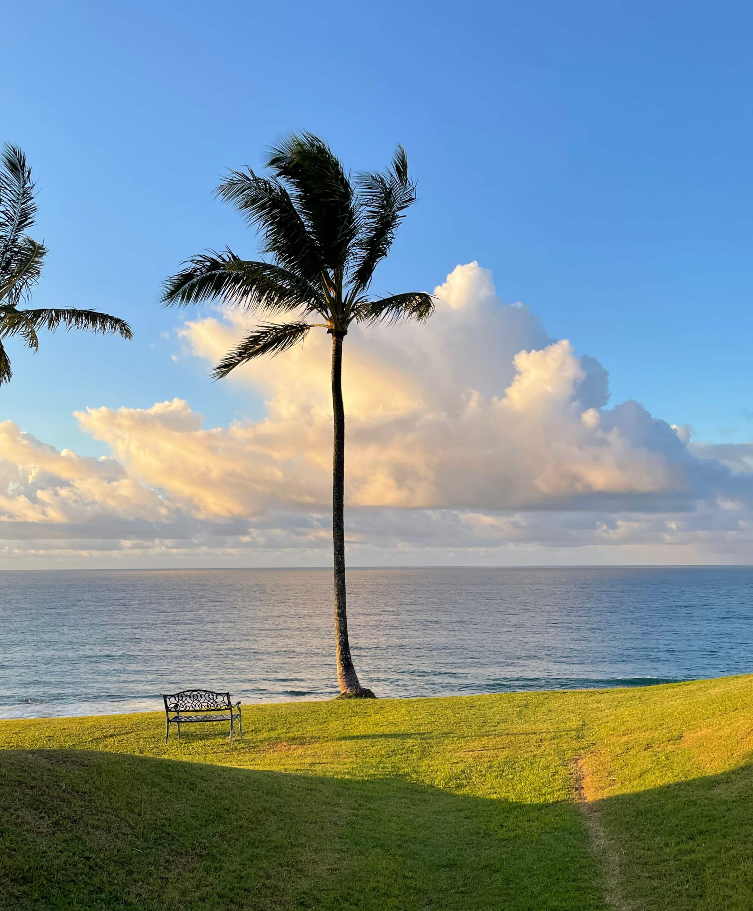 Townhouse in Princeville · ★4.94 · 2 bedrooms · 2 beds · 2 baths - Image 27