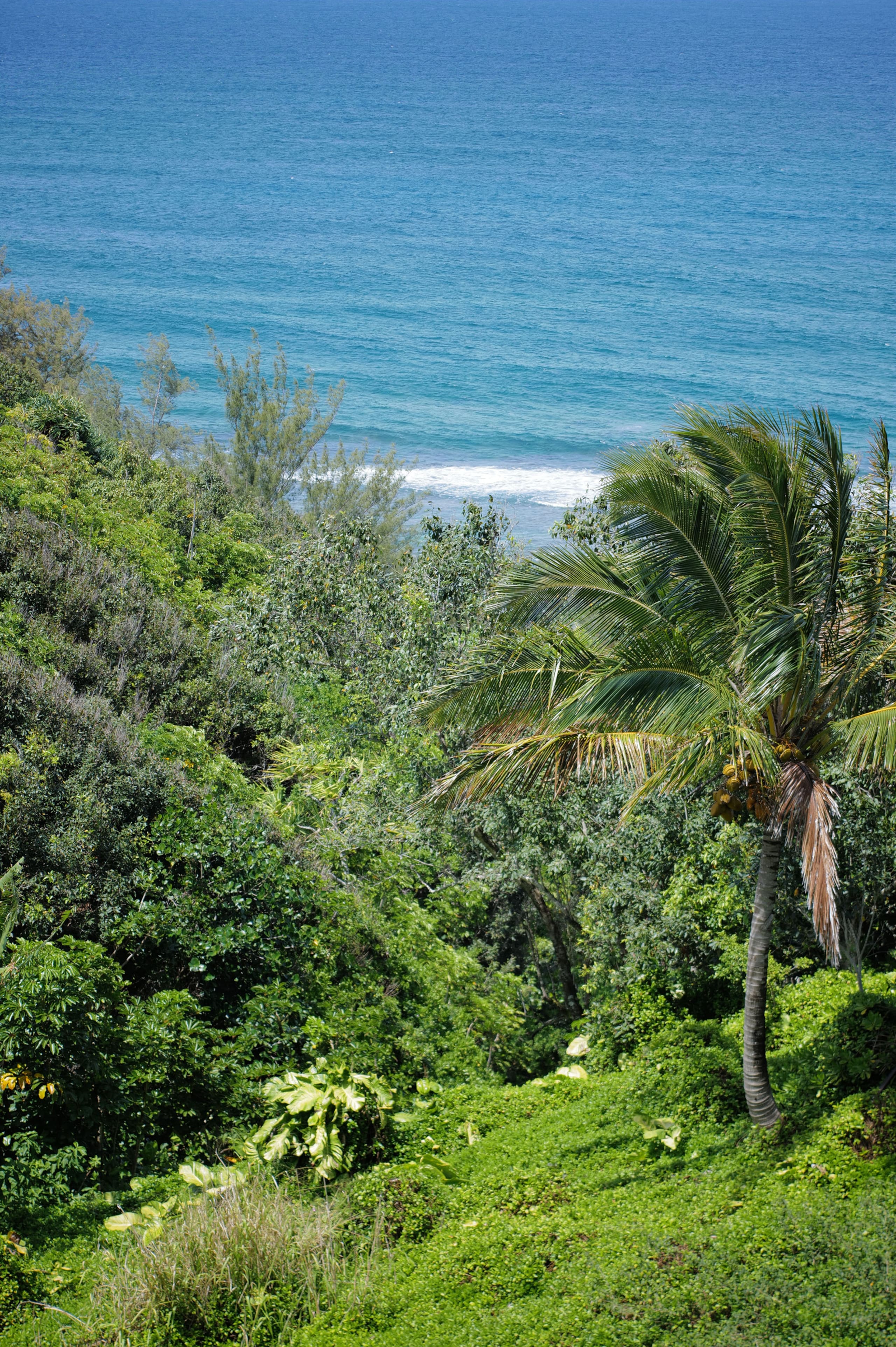Townhouse in Princeville · ★4.94 · 2 bedrooms · 2 beds · 2 baths - Image 28