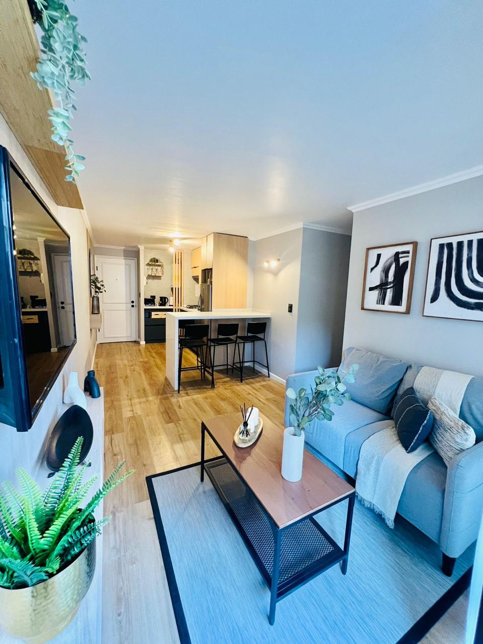 A welcoming living space features a light grey sofa complemented by a soft throw and decorative pillows. A simple coffee table rests on a light area rug, surrounded by greenery. The open kitchen is visible in the background, showcasing modern cabinetry and seating.