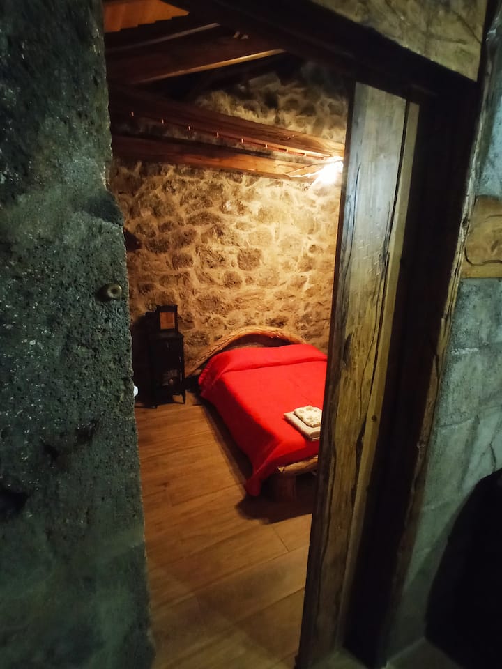 Habitación 1