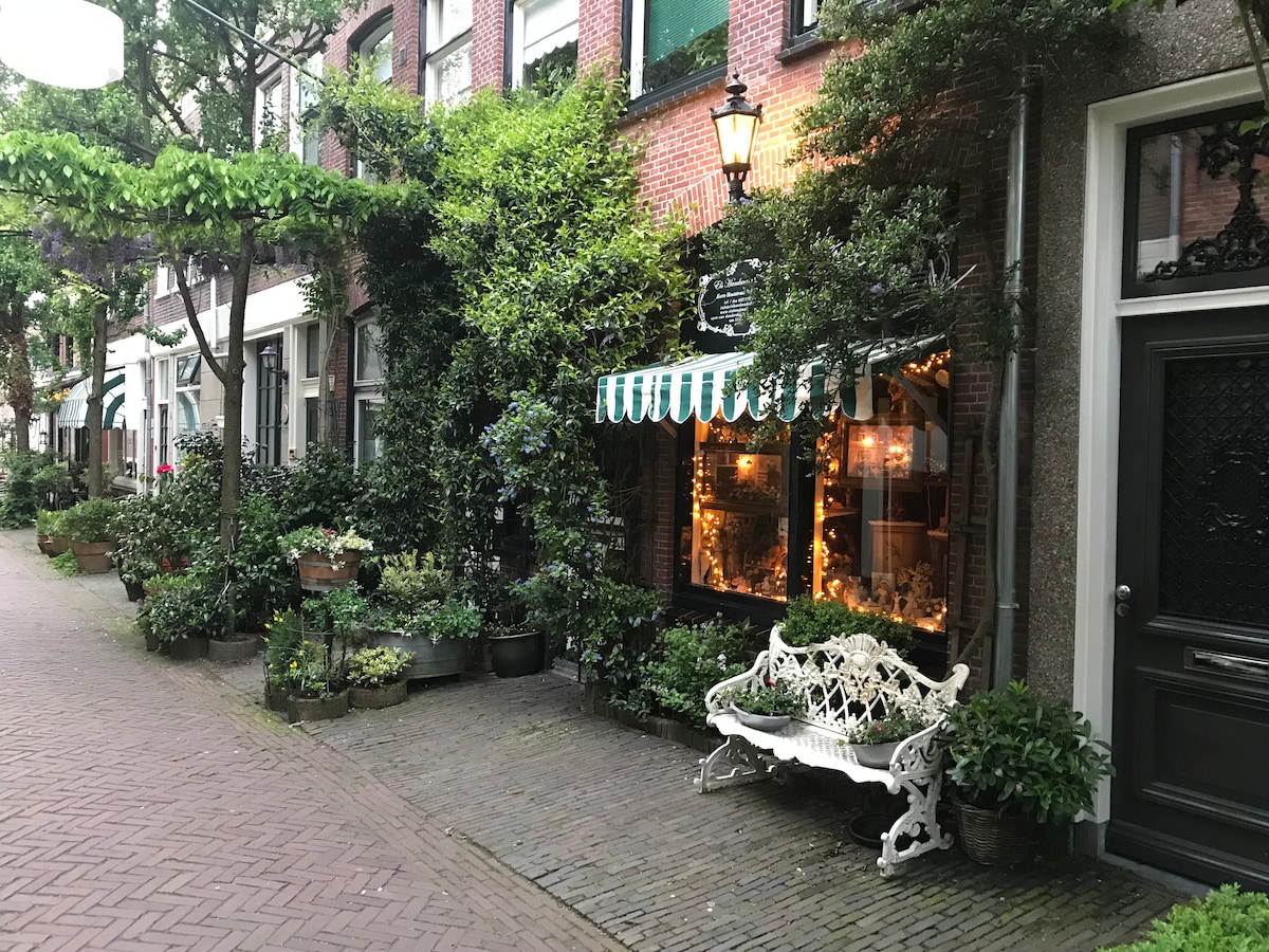 A charming street scene showcases a quaint shop with illuminated windows and a striped awning. Potted plants line the pathway, and a decorative white bench invites rest. Green foliage complements the brick buildings, contributing to a lively and welcoming atmosphere in the area.