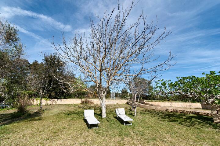 AgriHouse – Frontemare – parcheggio gratuito gallery image 2