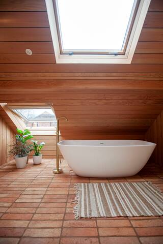 The Modern House One gallery image 4