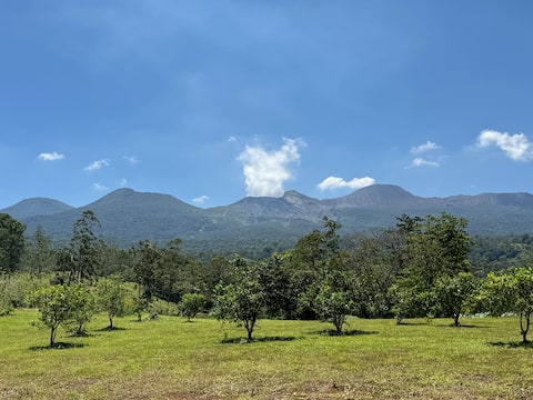 Blue River Resort & Hot Springs - Luxury Queen