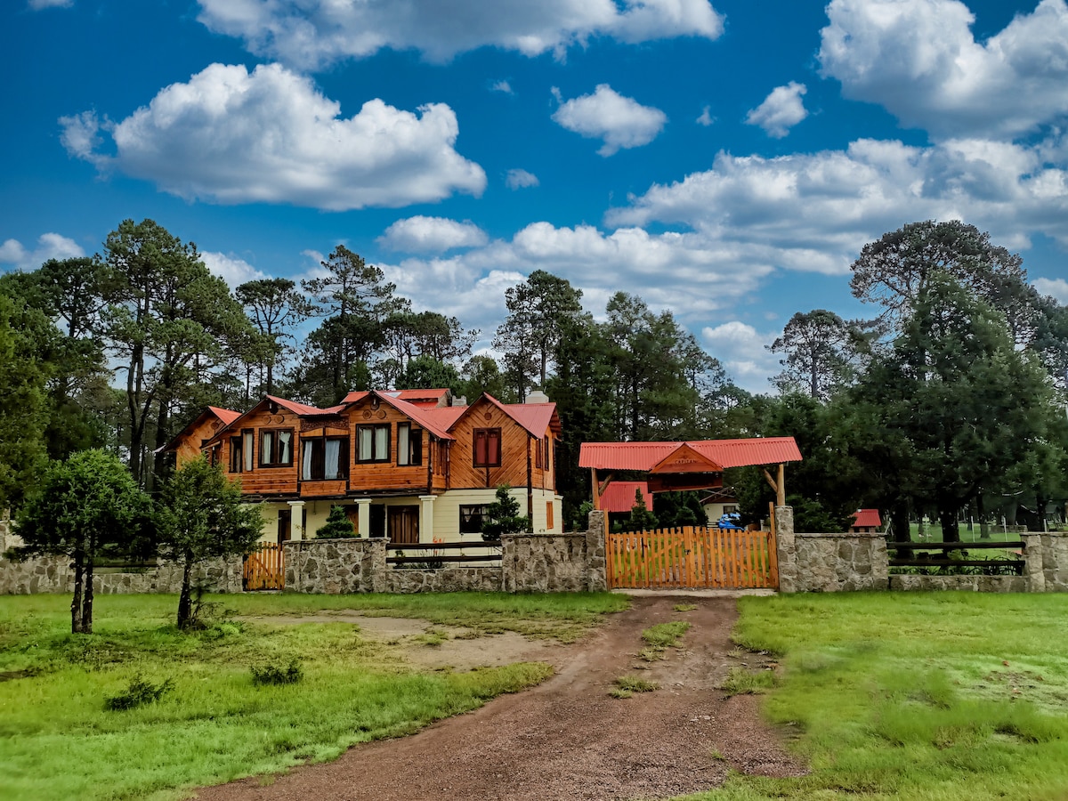 A charming two-story cabin is surrounded by greenery and pine trees, showcasing a combination of wooden and stone exteriors. A gravel path leads to a welcoming entrance, with a wooden gate framed by vibrant red awnings, set against a backdrop of a partly cloudy blue sky.
