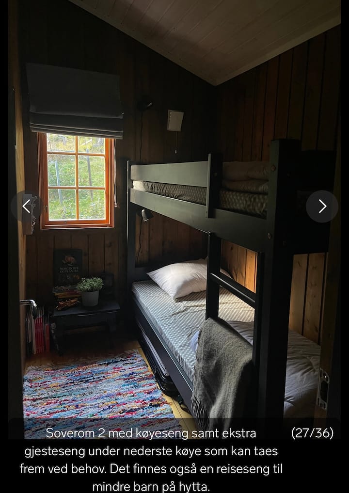 Quarto 2