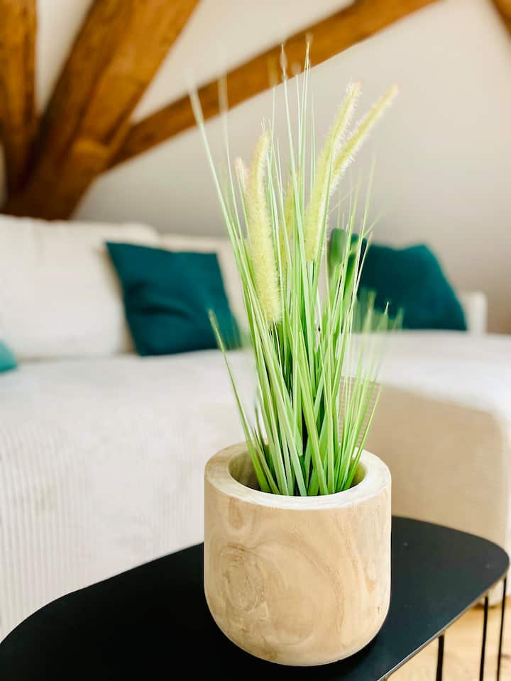 Apartment "Villa Seeliebe" - Konstanz