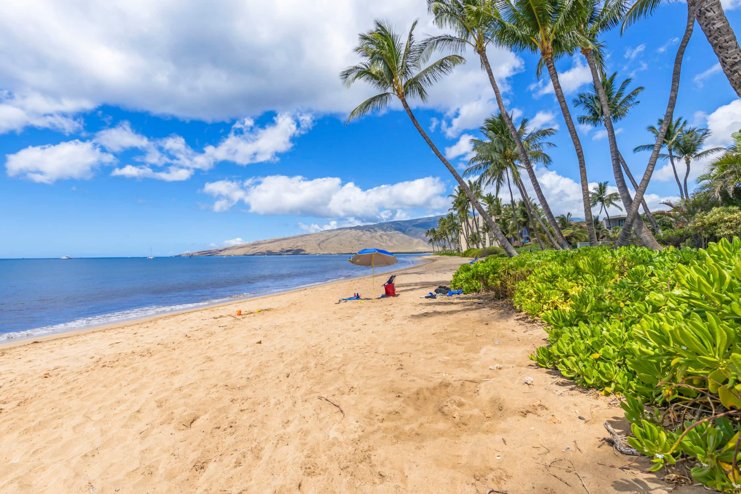 Condo in Kihei · ★4.89 · 1 bedroom · 2 beds · 2 baths - Image 22