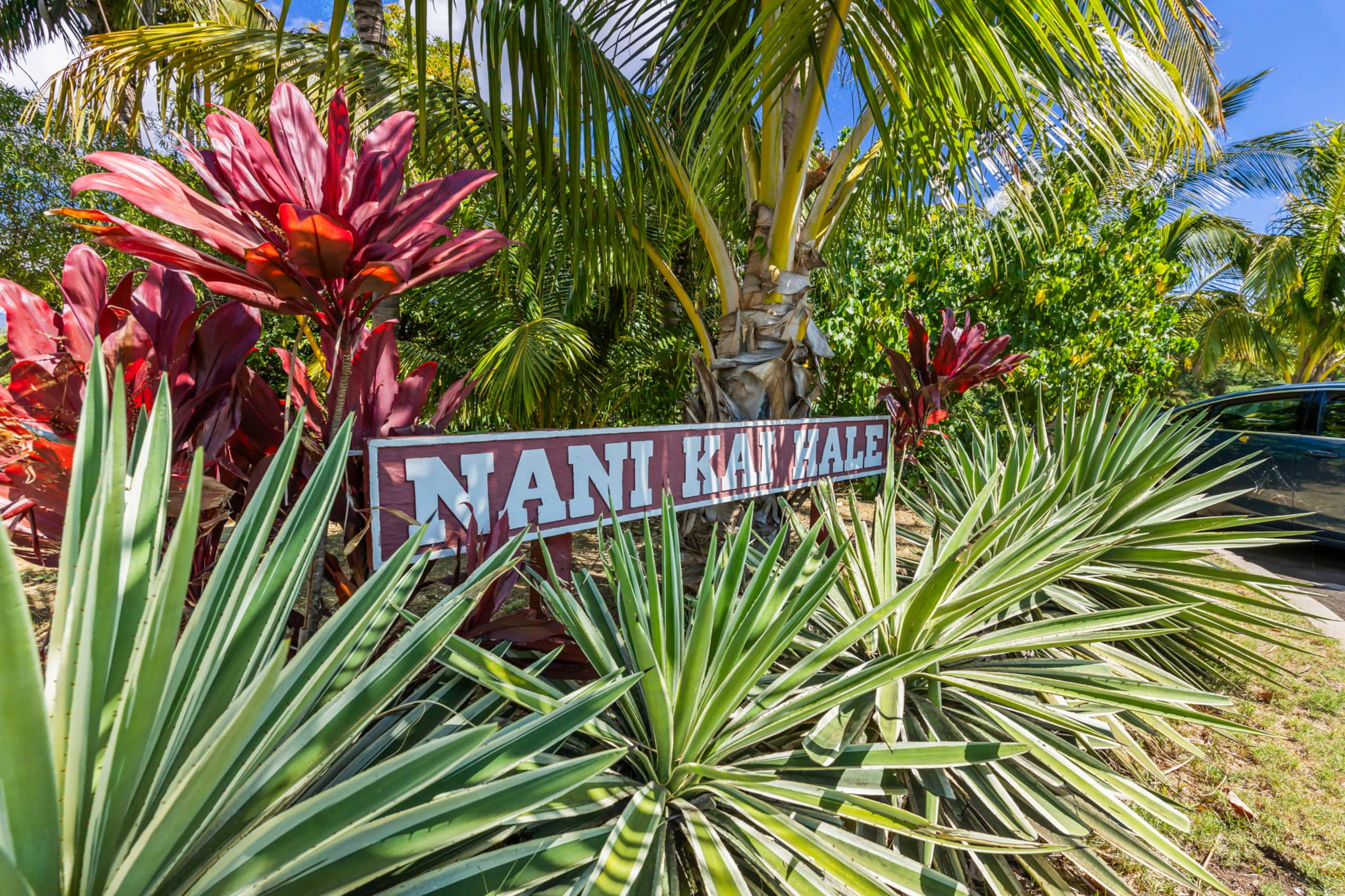 Condo in Kihei · ★4.89 · 1 bedroom · 2 beds · 2 baths - Image 26