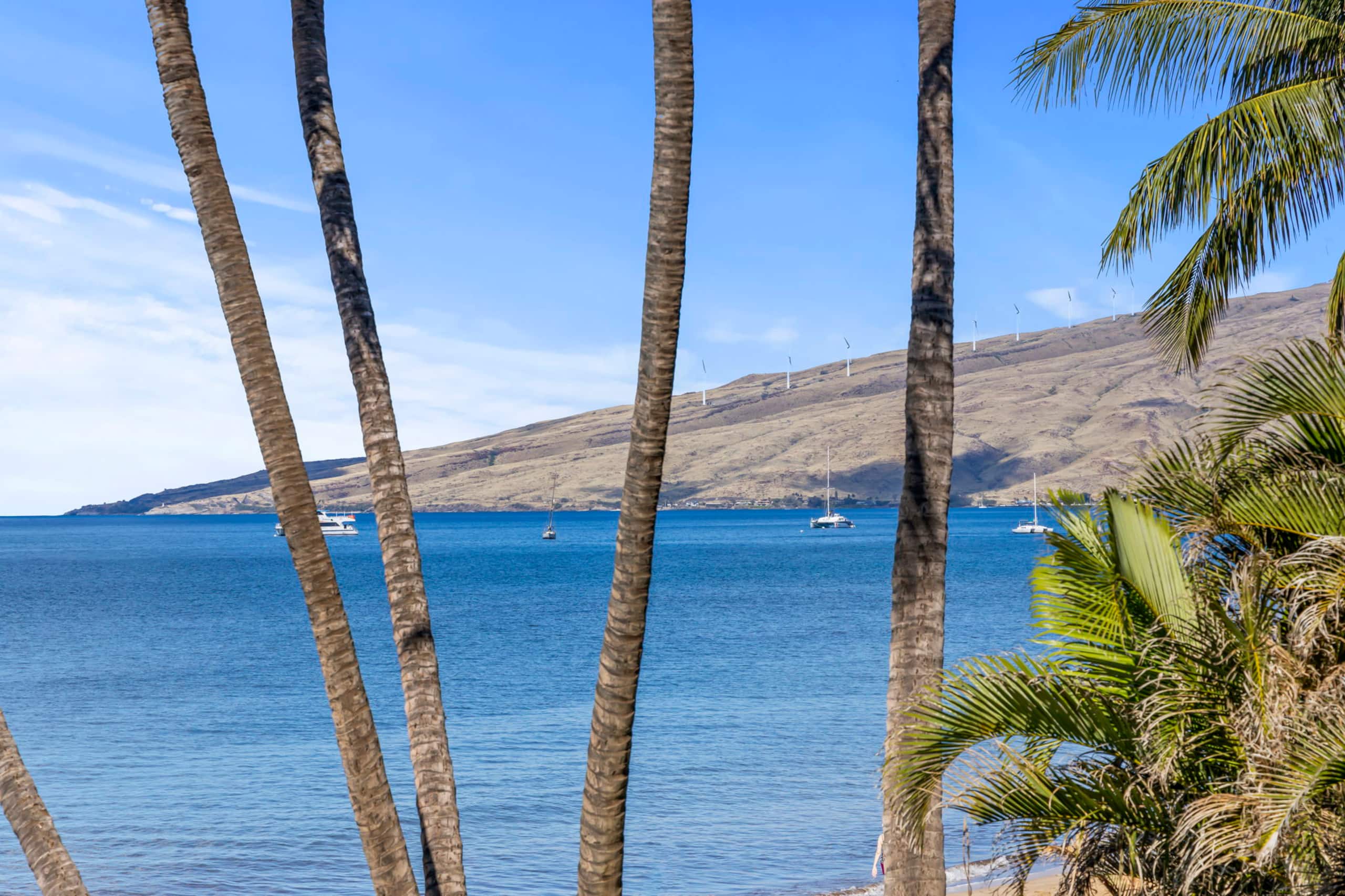 Condo in Kihei · ★5.0 · 1 bedroom · 1 bed · 2 baths - Image 26