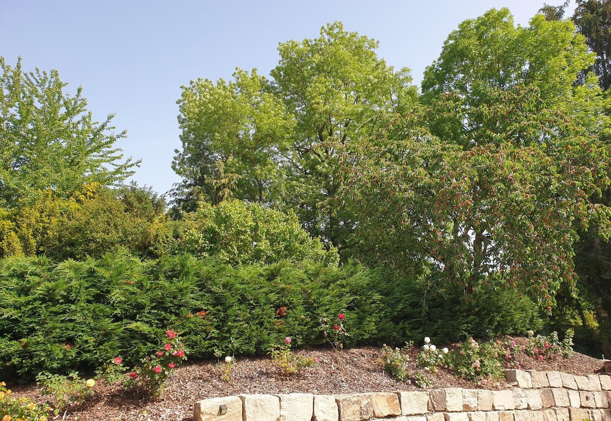 A lush garden area features a variety of green trees and shrubs, providing a natural setting. Colorful rose bushes bloom along a stone border, adding visual interest. The clear blue sky above enhances the serene ambiance of this outdoor space.