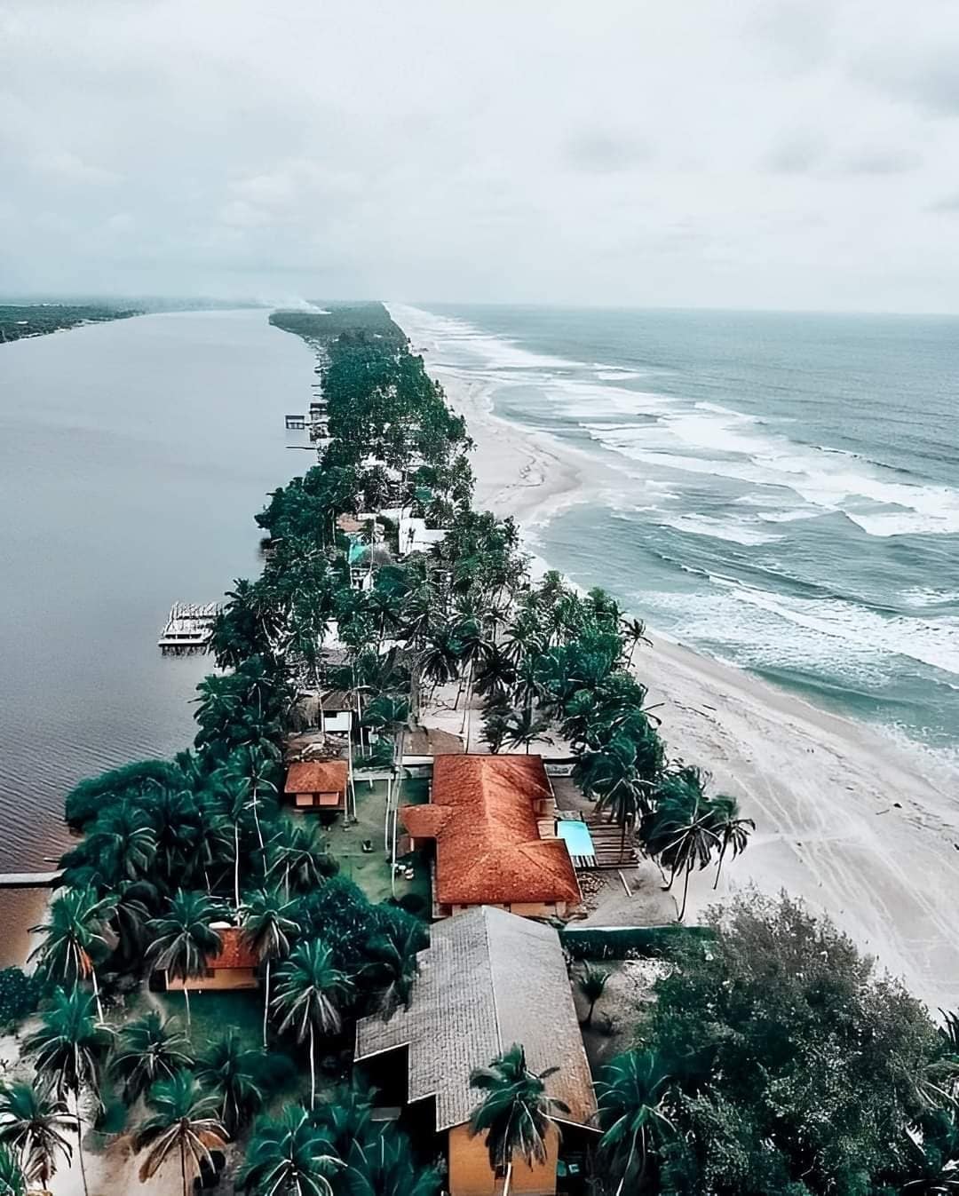 An aerial view showcases a shoreline lined with palm trees and beach houses. The ocean waves gently lap at the sandy beach, contrasting with the calm river on the opposite side. The landscape offers a serene setting, blending natural and residential elements harmoniously.