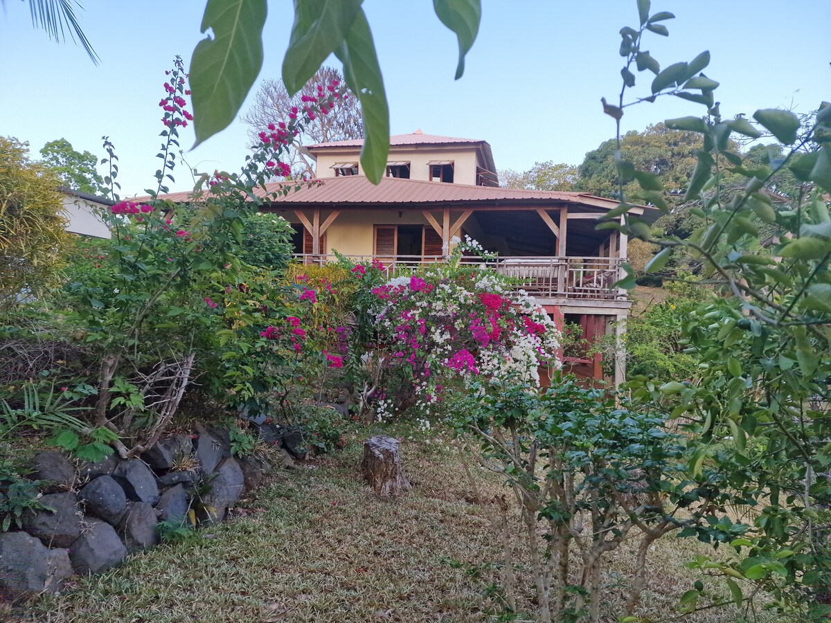 A multi-story house is nestled among vibrant greenery and flowering plants. The wooden balcony extends around the front, providing outdoor space. The surrounding garden features a variety of plants and trees, creating a serene and inviting environment.