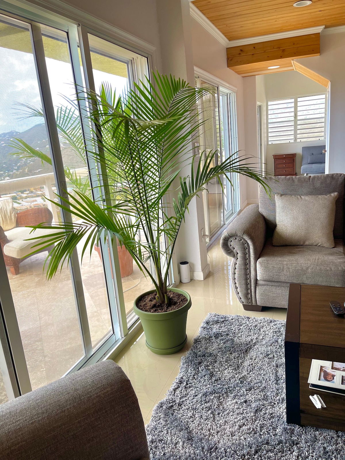 A spacious living area is illuminated by natural light streaming through large glass windows. A lush green plant adds a pop of color beside a cozy grey sofa. The soft texture of a plush area rug complements the surroundings, creating a serene ambiance.