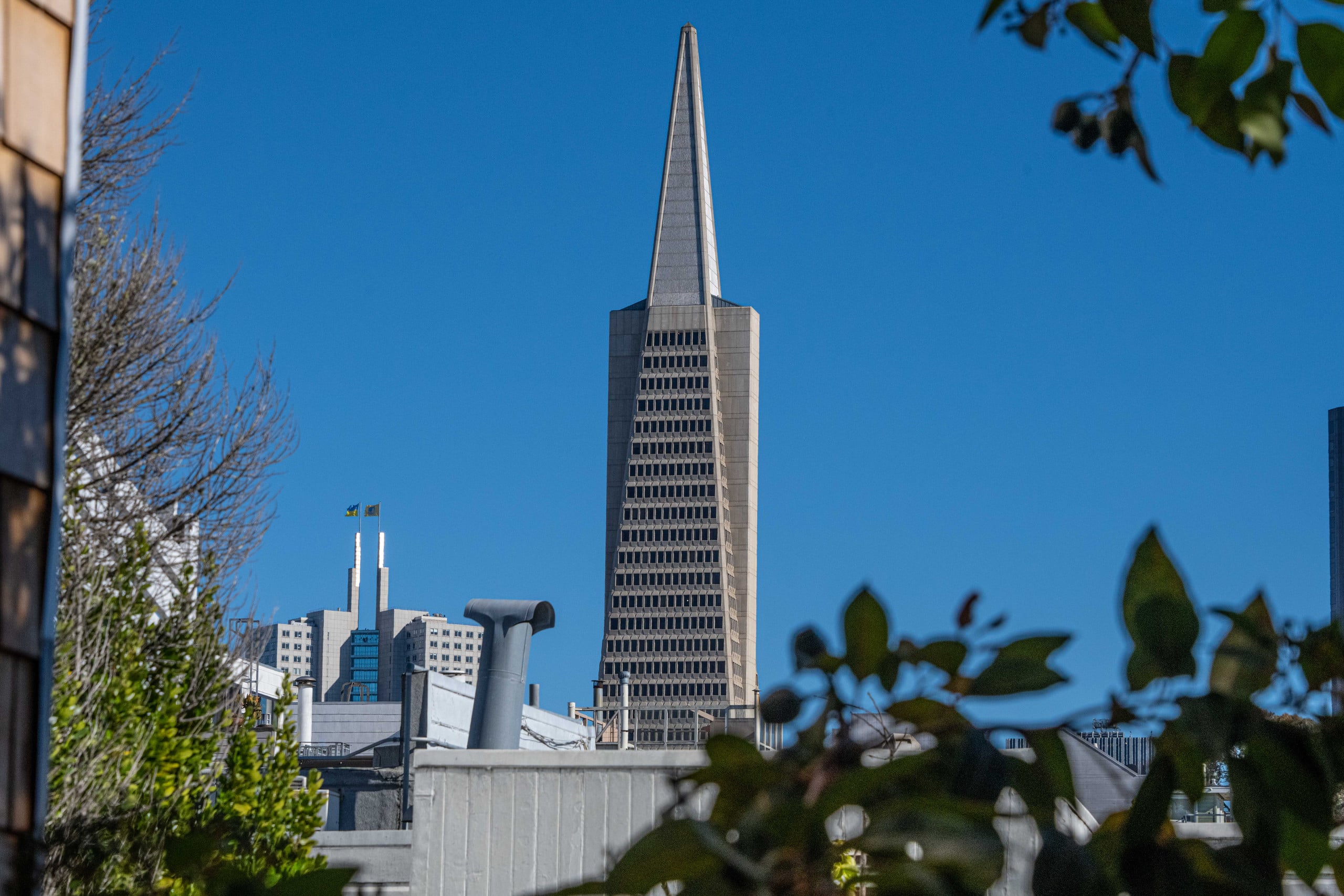 Guesthouse in San Francisco · ★4.94 · Studio · 1 bed · 1 bath - Image 15