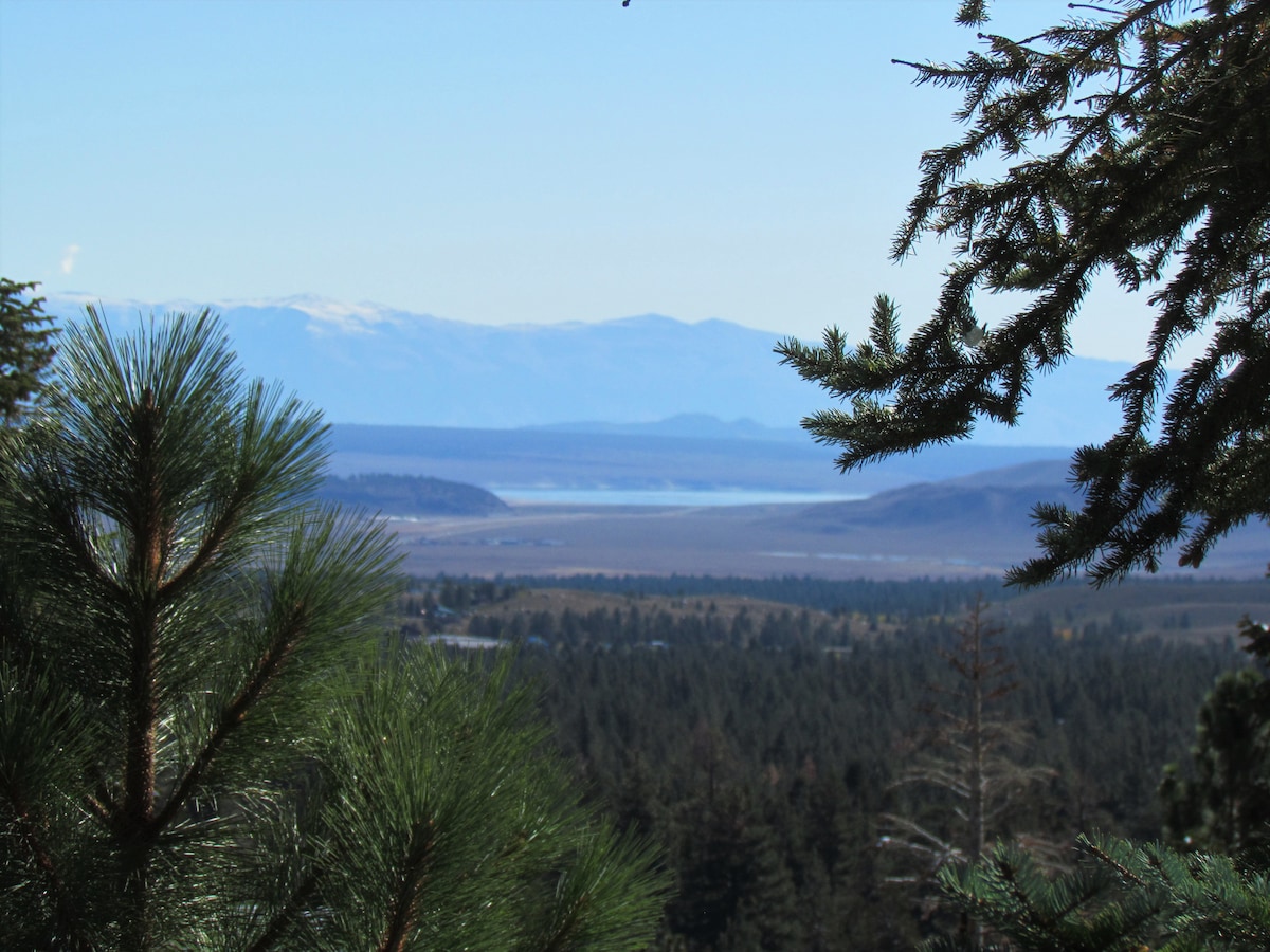 A scenic view is framed by pine trees, showcasing a distant lake and surrounding mountains. The landscape features layers of greenery and hints of snow-capped peaks under a clear blue sky.