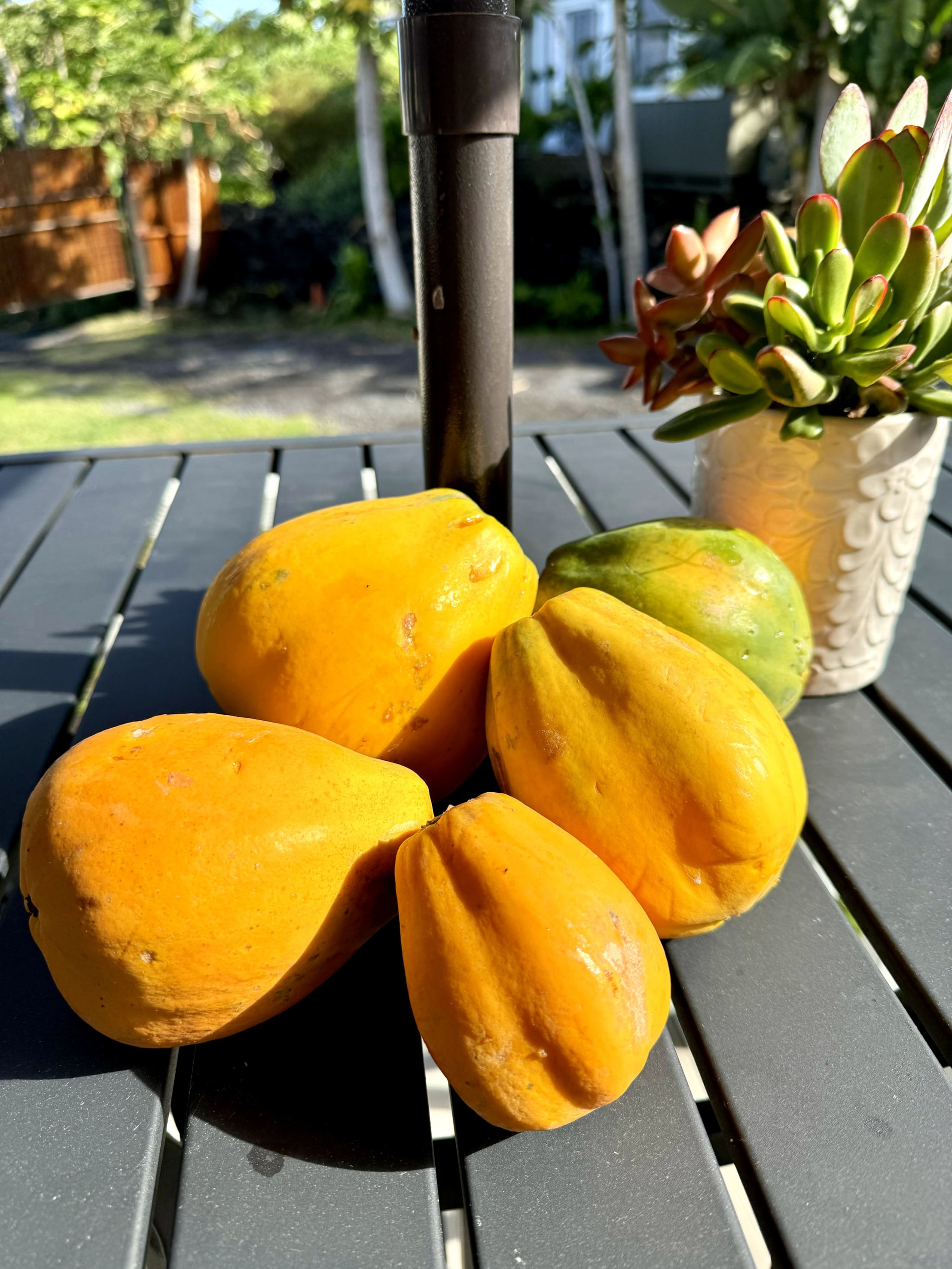 Home in Kailua-Kona · ★4.97 · 1 bedroom · 2 beds · 1 bath - Image 46