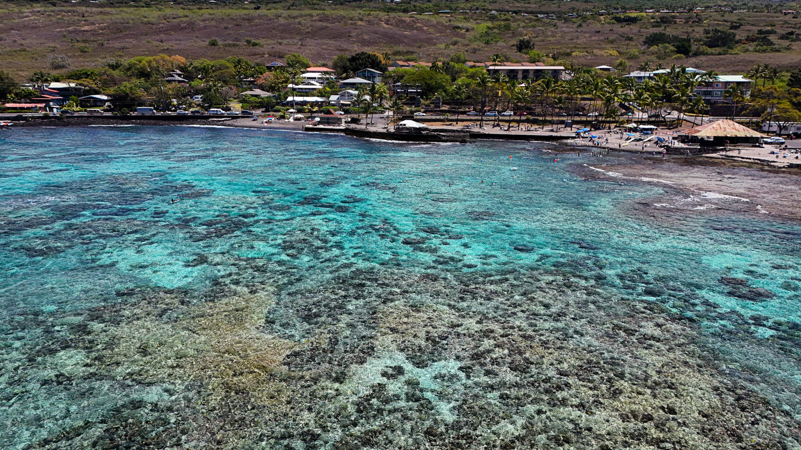 Home in Kailua-Kona · ★4.97 · 1 bedroom · 2 beds · 1 bath - Image 43