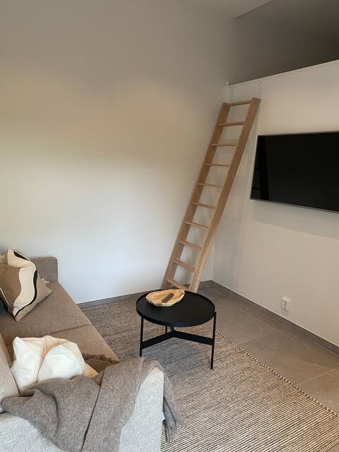 Popular Airbnb listing: Centrally located, newly renovated apartment in Halmstad