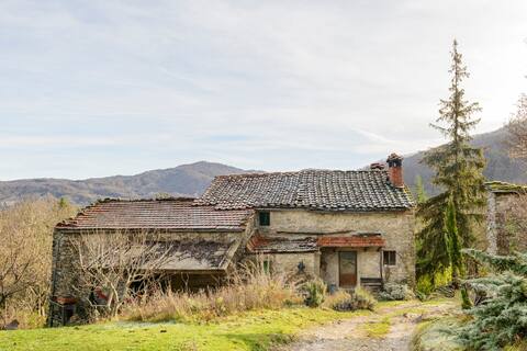 Experience rustic off-grid life in the wilderness