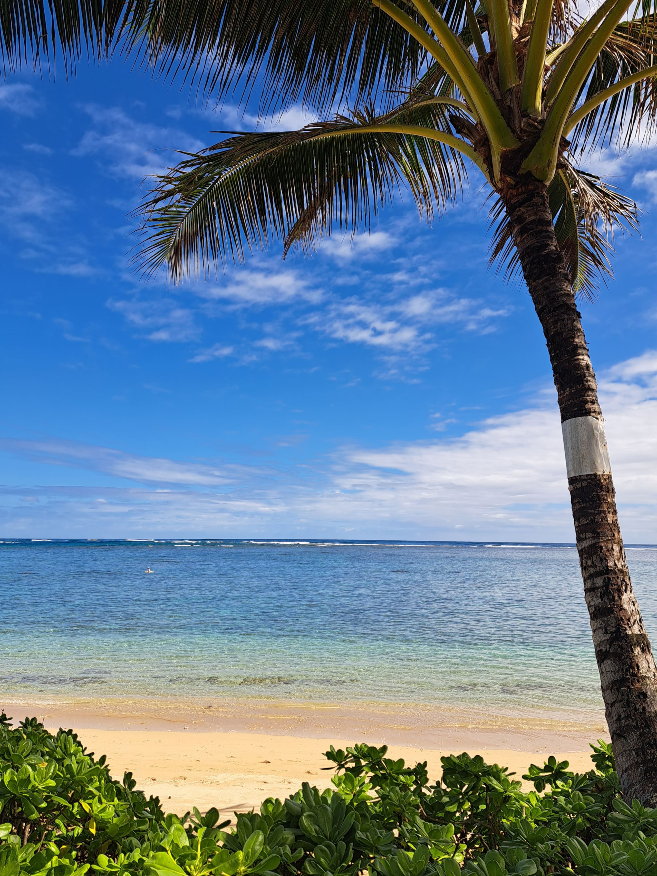 Condo in Hauula · ★4.93 · Studio · 4 beds · 1 private bath - Image 9