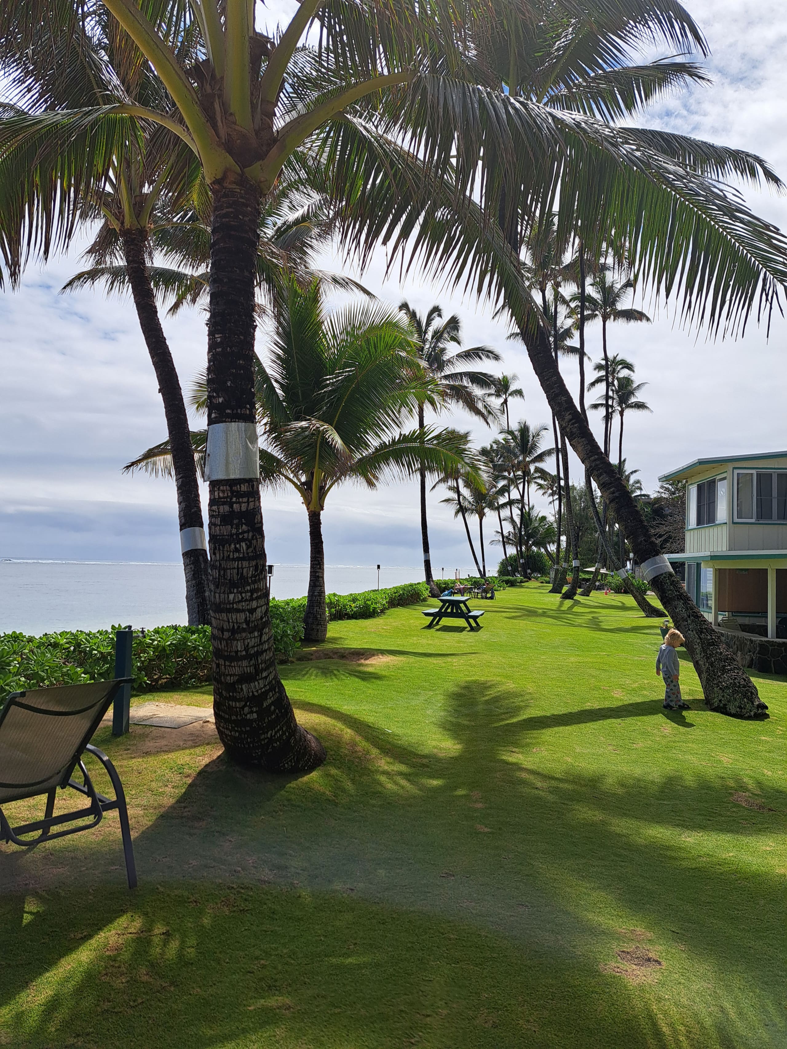 Condo in Hauula · ★4.93 · Studio · 4 beds · 1 private bath - Image 34