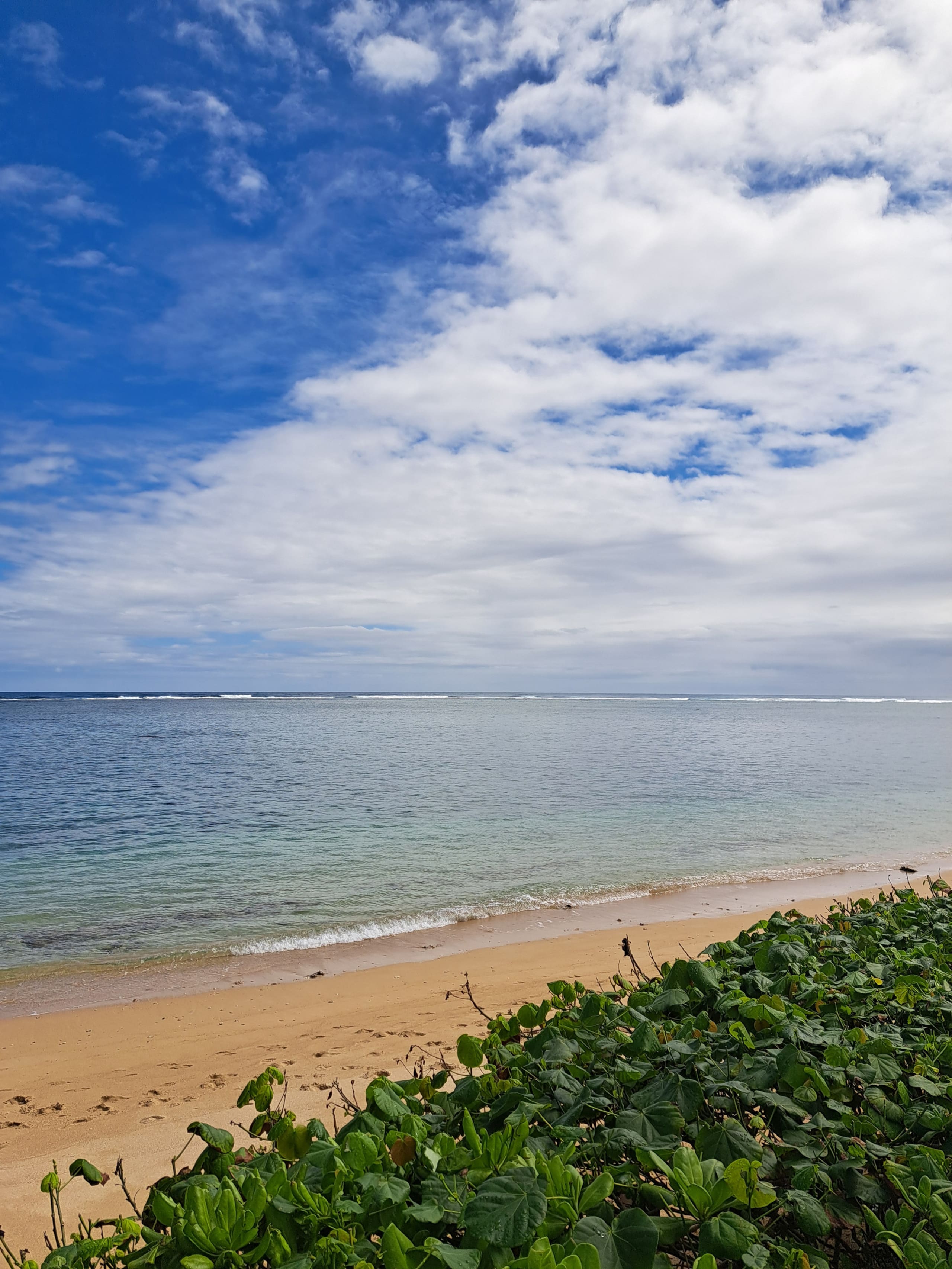 Condo in Hauula · ★4.93 · Studio · 4 beds · 1 private bath - Image 27