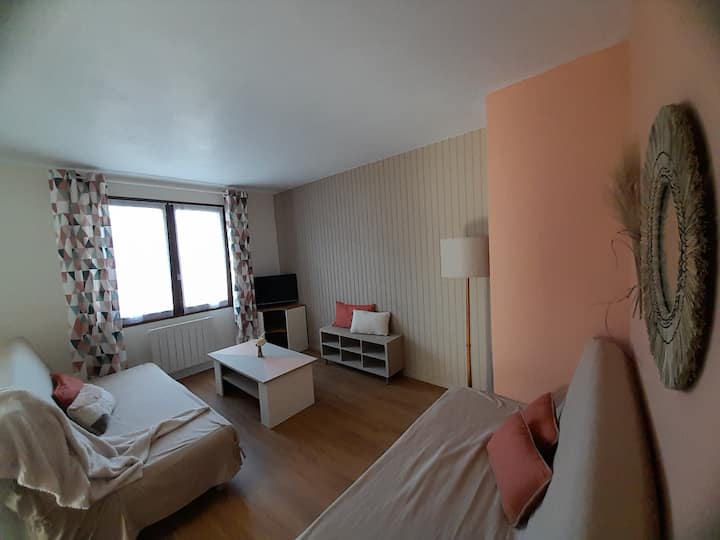Meublé De Tourisme Agréé 2 éToiles En Duplex - Murol