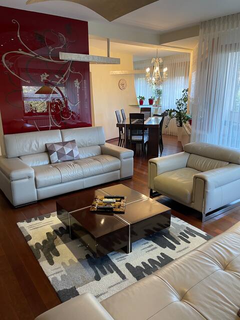 Luxurious Oasis