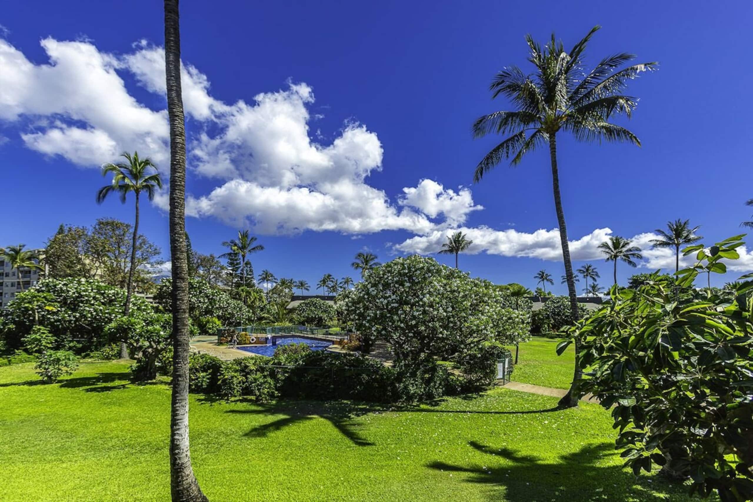 Condo in Kihei · ★5.0 · 1 bedroom · 2 beds · 1 shared bath - Image 27