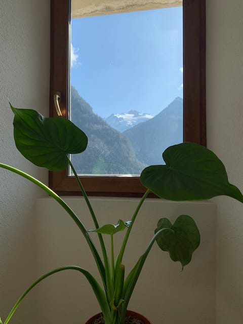 Appartement de rêve pour famille