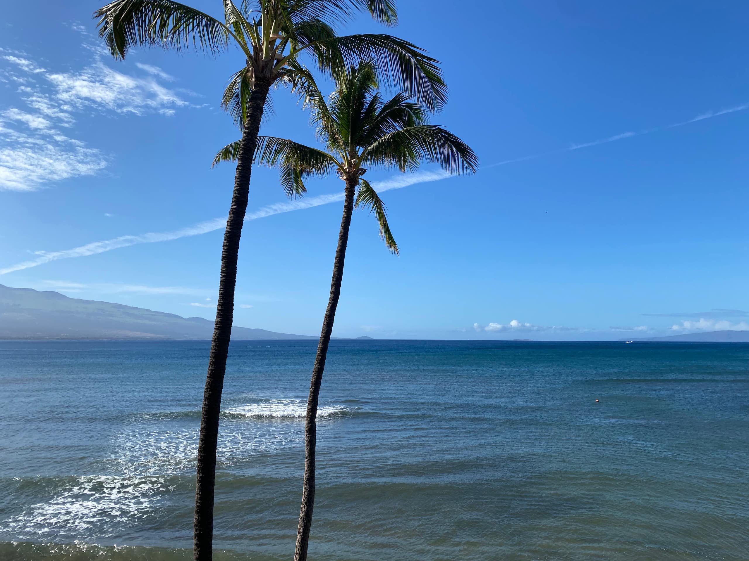 Condo in Wailuku · ★5.0 · 2 bedrooms · 3 beds · 2 private baths - Image 3