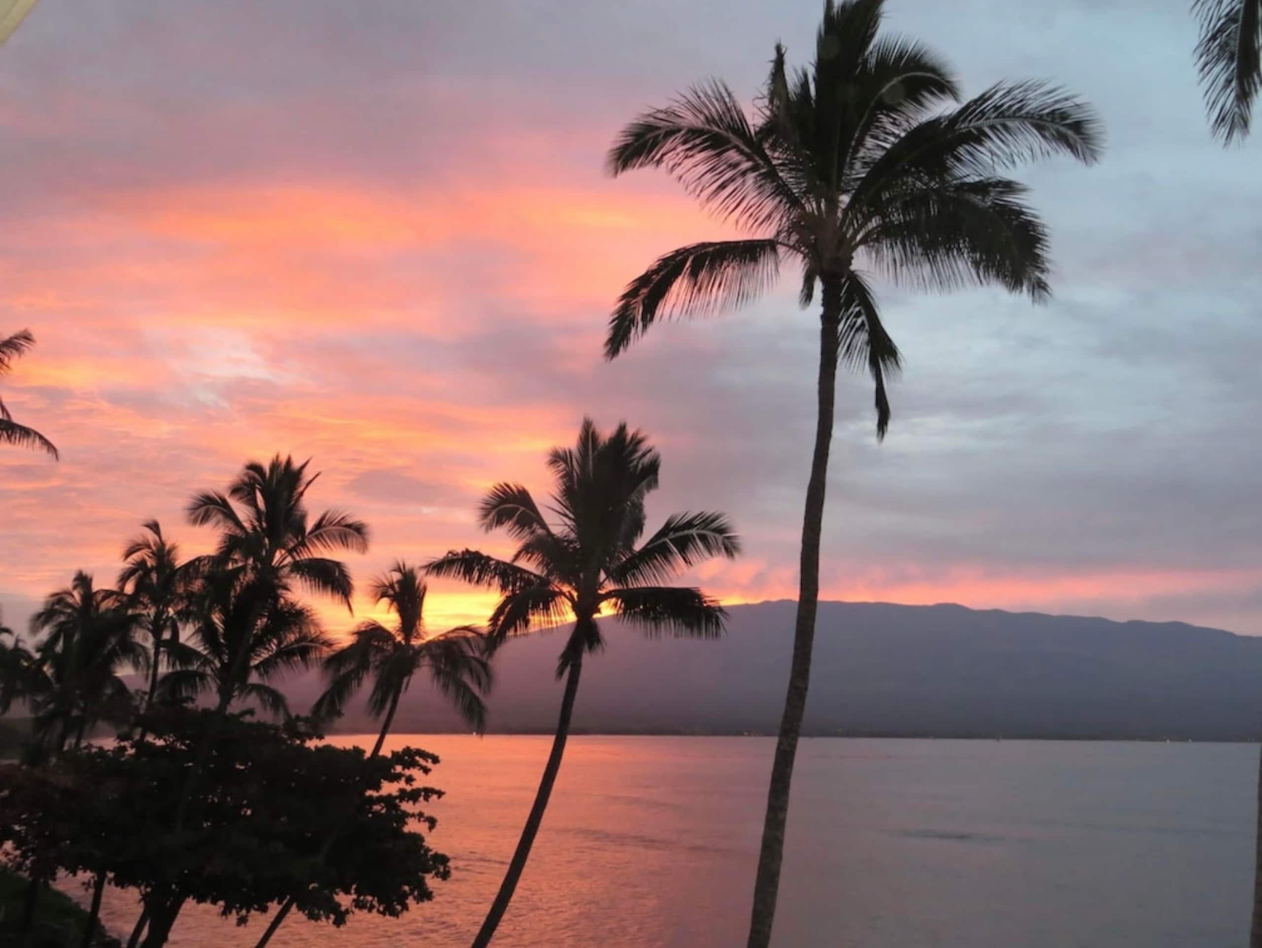 Condo in Wailuku · ★5.0 · 2 bedrooms · 3 beds · 2 private baths - Image 18