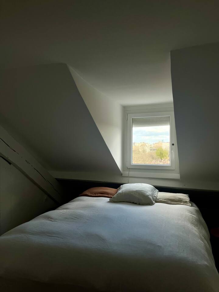 Chambre sous les toits parisiens, donnant sur le jardin. Vous disposez de rangement pour vos affaires. La chambre se trouve à l'étage.